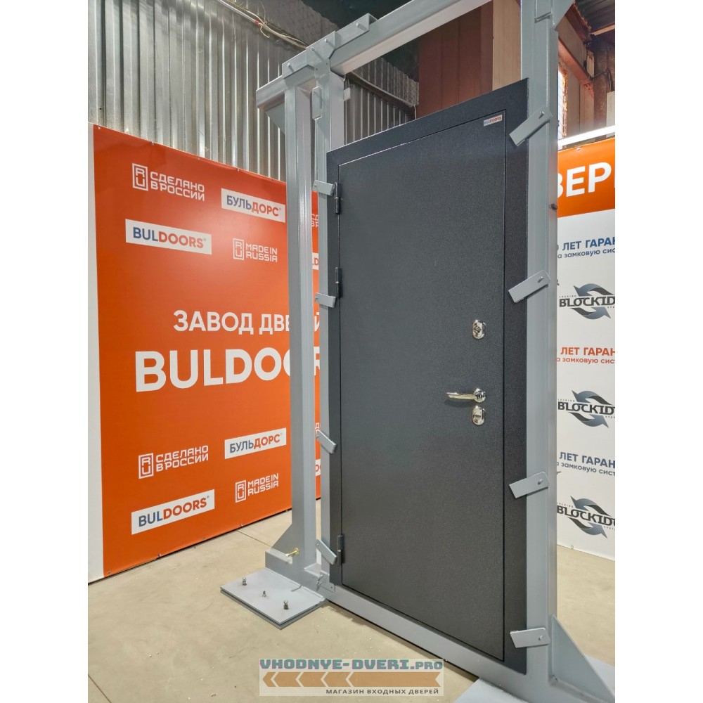 Дверь Бульдорс TERMO MIRROR